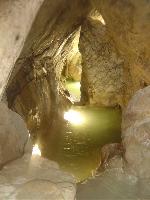 Cliquer pour voir la photo en grand ( octets)