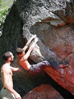 Cliquer pour voir la photo en grand ( octets)