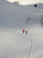 Cliquer pour voir la photo en grand ( octets)