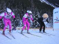 Cliquer pour voir la photo en grand ( octets)