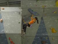 Cliquer pour voir la photo en grand ( octets)