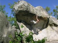 Cliquer pour voir la photo en grand ( octets)