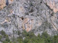 Cliquer pour voir la photo en grand ( octets)