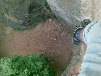 Cliquer pour voir la photo en grand ( octets)