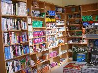 Cliquer pour voir la photo en grand ( octets)