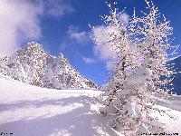 Cliquer pour voir la photo en grand ( octets)