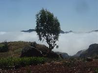 Cliquer pour voir la photo en grand ( octets)