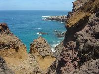 Cliquer pour voir la photo en grand ( octets)