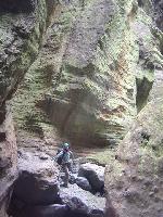 Cliquer pour voir la photo en grand ( octets)