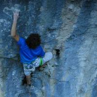 Cliquer pour voir la photo en grand ( octets)