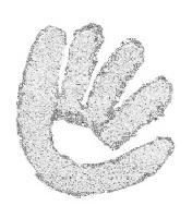 Cliquer pour voir la photo en grand ( octets)