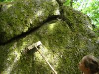 Cliquer pour voir la photo en grand ( octets)