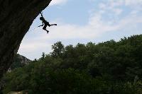 Cliquer pour voir la photo en grand ( octets)