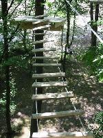 Cliquer pour voir la photo en grand ( octets)