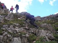 Cliquer pour voir la photo en grand ( octets)