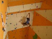 Cliquer pour voir la photo en grand ( octets)