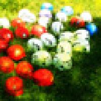 Cliquer pour voir la photo en grand ( octets)