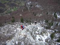 Cliquer pour voir la photo en grand ( octets)