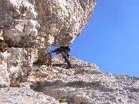 Cliquer pour voir la photo en grand ( octets)