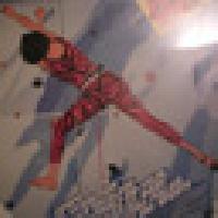 Cliquer pour voir la photo en grand ( octets)