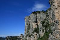 Cliquer pour voir la photo en grand ( octets)