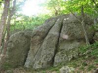 Cliquer pour voir la photo en grand ( octets)