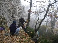 Cliquer pour voir la photo en grand ( octets)