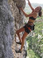 Cliquer pour voir la photo en grand ( octets)