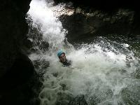 Cliquer pour voir la photo en grand ( octets)