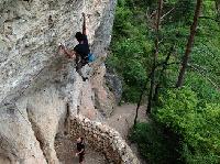 Cliquer pour voir la photo en grand ( octets)