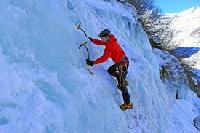 Cliquer pour voir la photo en grand ( octets)