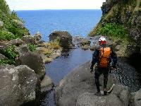 Cliquer pour voir la photo en grand ( octets)