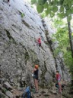 Cliquer pour voir la photo en grand ( octets)