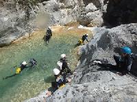 Cliquer pour voir la photo en grand ( octets)