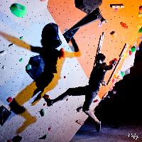 Cliquer pour voir la photo en grand ( octets)