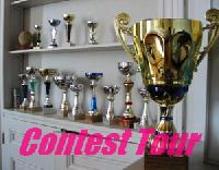 Cliquer pour voir la photo en grand ( octets)