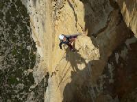 Cliquer pour voir la photo en grand ( octets)