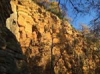 Cliquer pour voir la photo en grand ( octets)