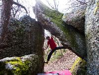 Cliquer pour voir la photo en grand ( octets)