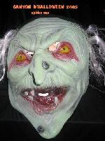 Cliquer pour voir la photo en grand ( octets)