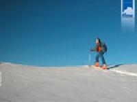 Cliquer pour voir la photo en grand ( octets)