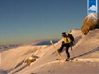 Cliquer pour voir la photo en grand ( octets)