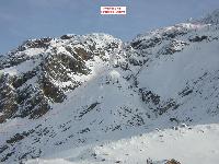 Cliquer pour voir la photo en grand ( octets)