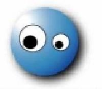 Cliquer pour voir la photo en grand ( octets)