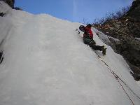 Cliquer pour voir la photo en grand ( octets)