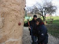 Cliquer pour voir la photo en grand ( octets)