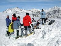 Cliquer pour voir la photo en grand ( octets)