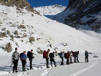 Cliquer pour voir la photo en grand ( octets)