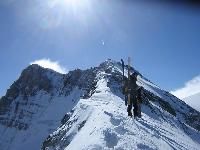 Cliquer pour voir la photo en grand ( octets)