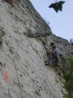 Cliquer pour voir la photo en grand ( octets)